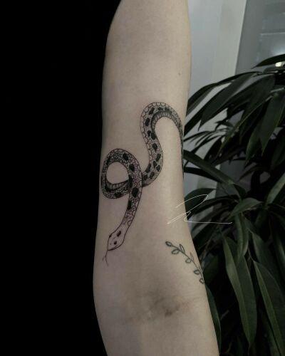 Zuroose inksearch tattoo
