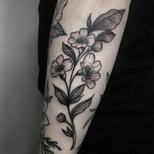 Ola Płocidem inksearch tattoo