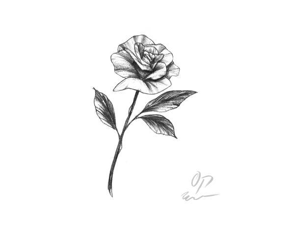 ostatnia_prosta_ inksearch tattoo