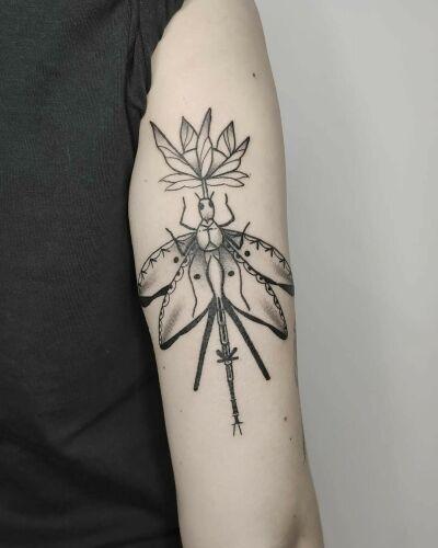 Nowy Projekt inksearch tattoo