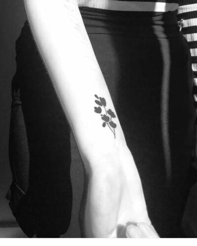 Klara Pikus inksearch tattoo