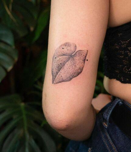 Ula Mierzwa inksearch tattoo