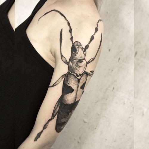 Mariusz Harasymów inksearch tattoo