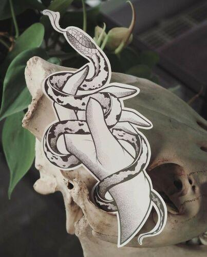 Nautilus Tattoo Studio inksearch tattoo