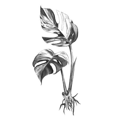 undefined inksearch tattoo