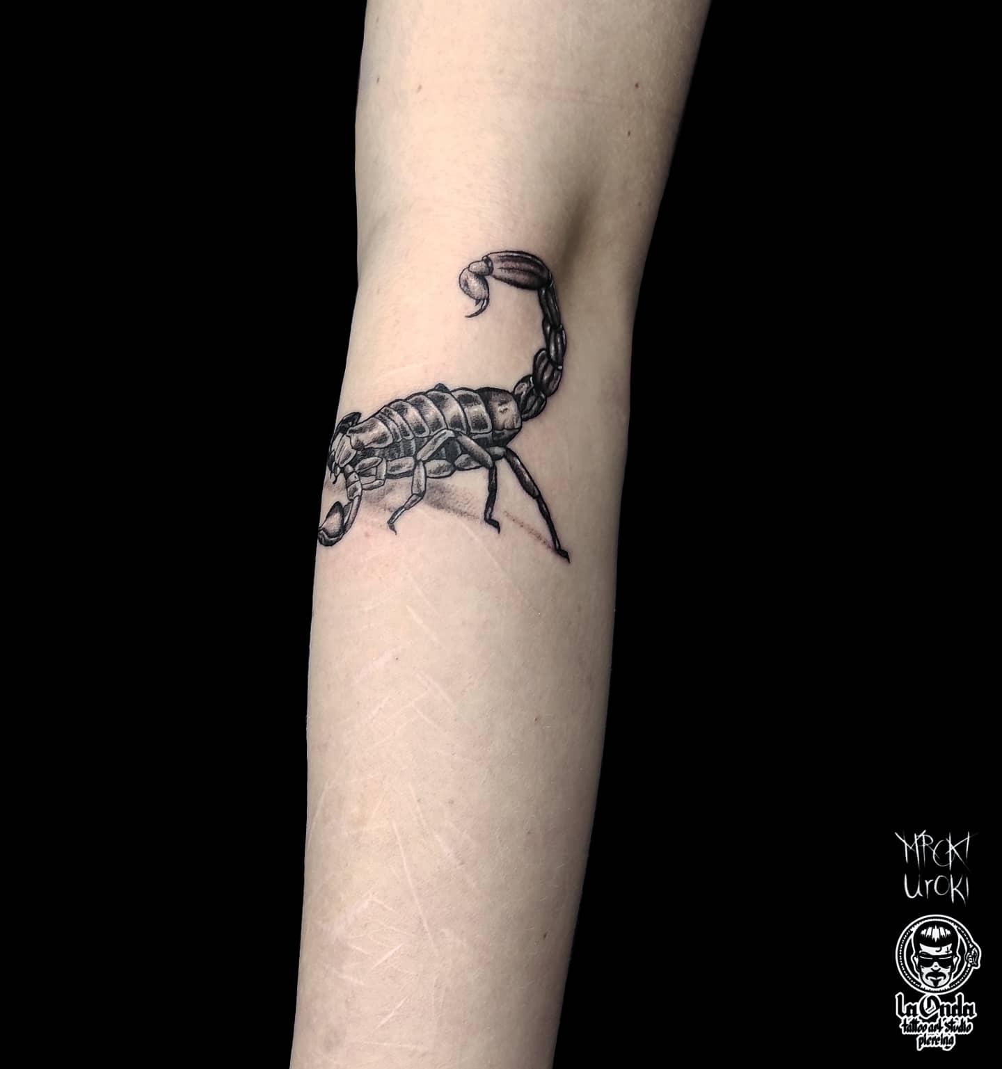 Inksearch tattoo MrokiUroki
