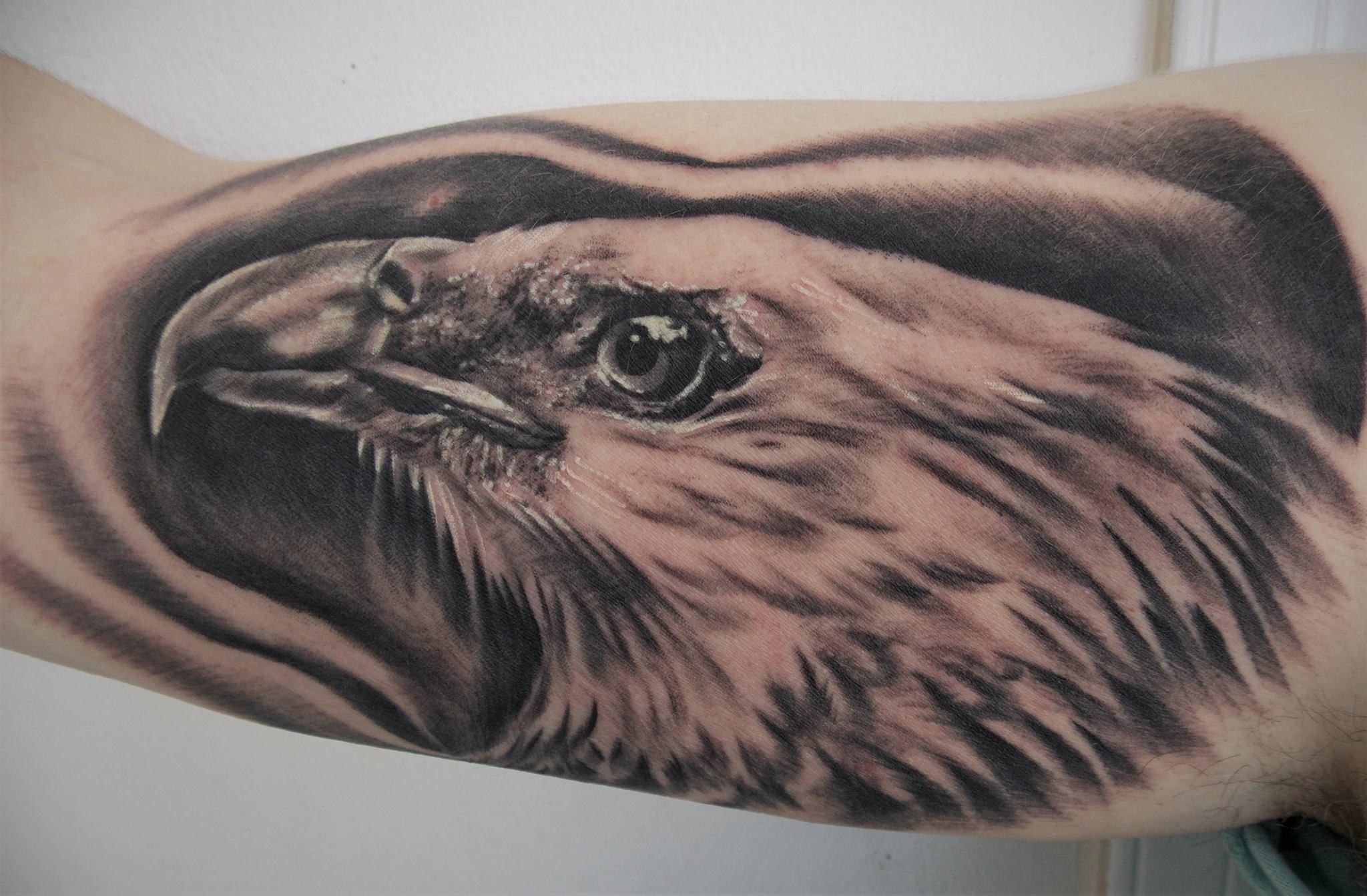 Inksearch tattoo Morgaine Raven