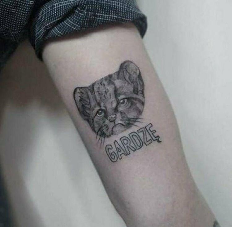 Inksearch tattoo Shibainku
