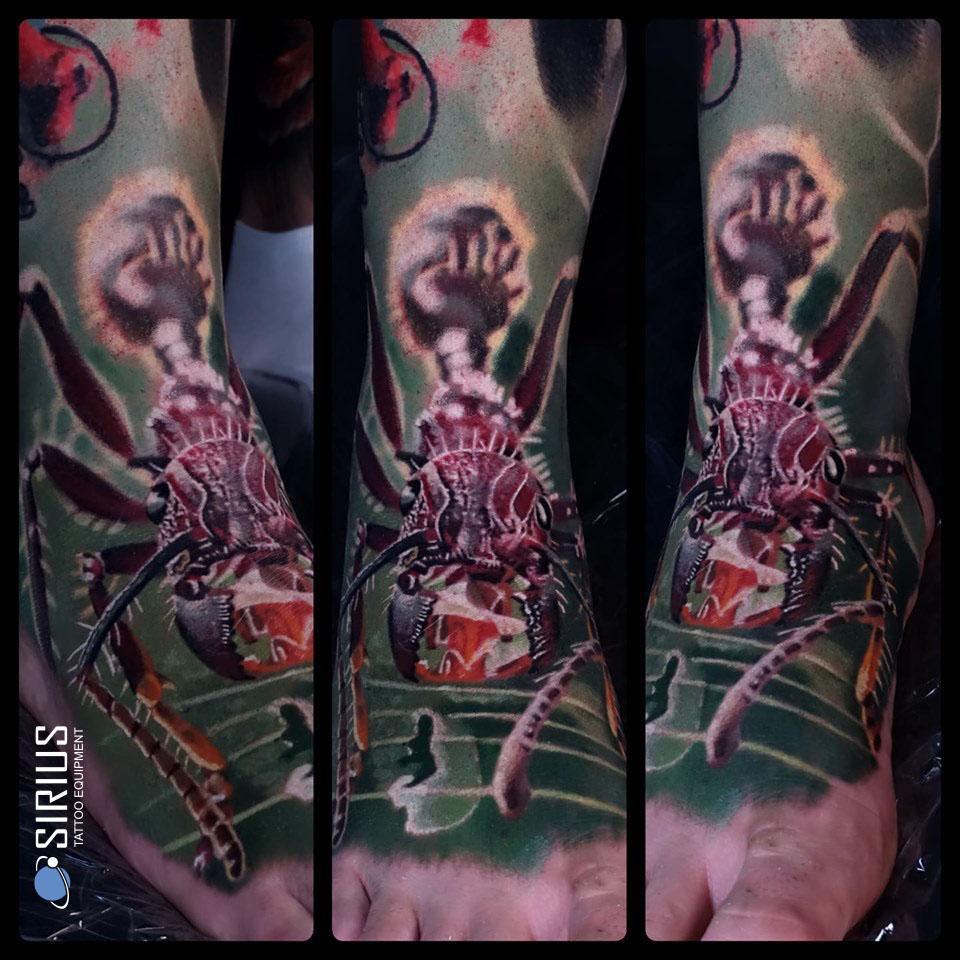 Inksearch tattoo Marcin Polak - Insekt